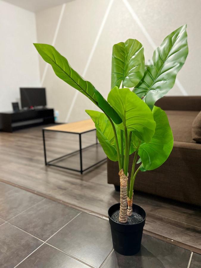 דירות Cosy 0 , Mulhouse Centre מראה חיצוני תמונה